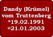 Dandy (Krmel)
vom Truttenberg
*19.02.1991
+21.01.2003