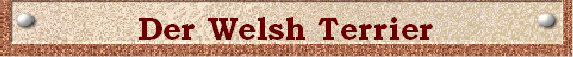 Banner Welsh
