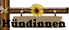H�ndinnen