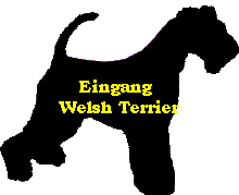 Eingang 
Welsh Terrier