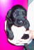 29.12.06: 18 Tage alt, R�de